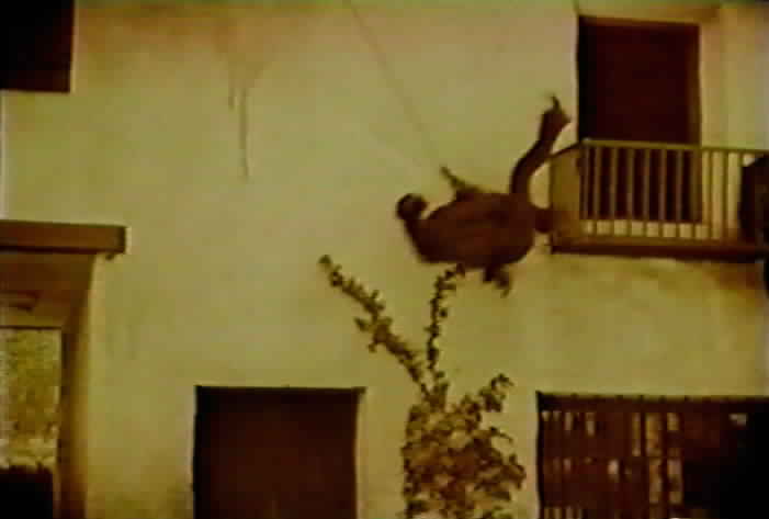Zorro swings onto a balcony.